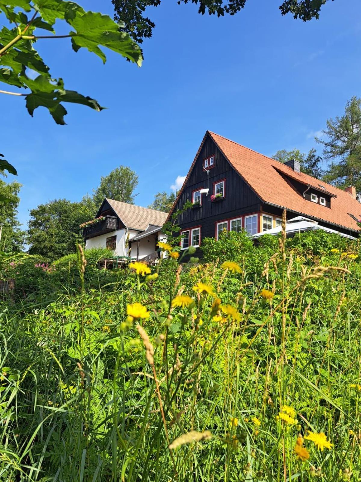 Haus Erna Schierke 아파트 외부 사진