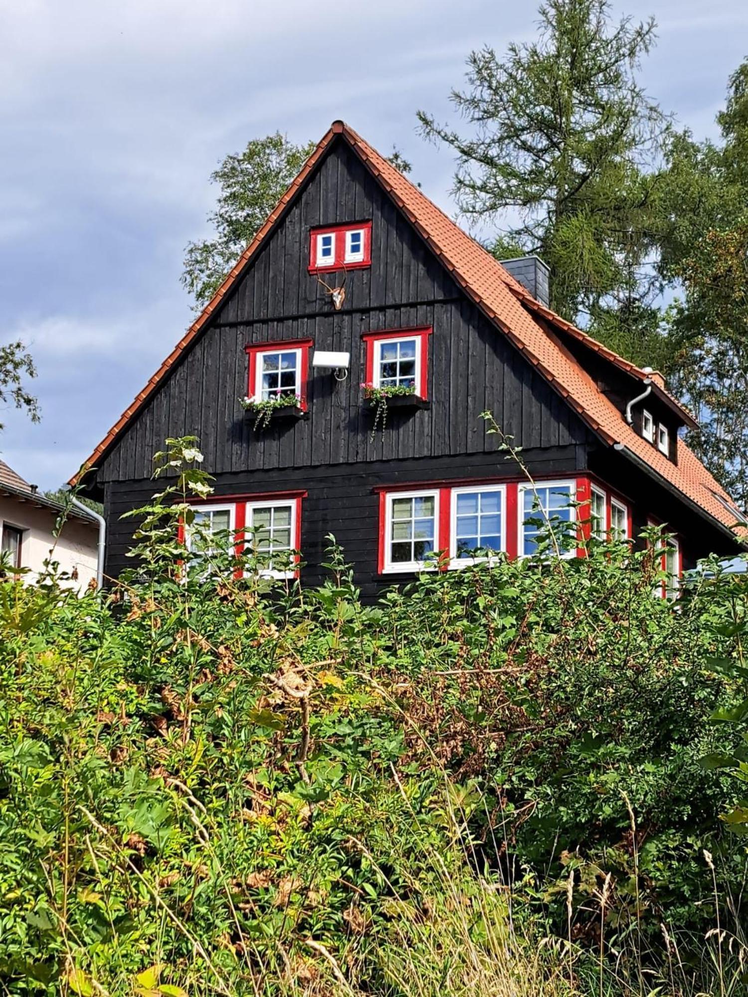 Haus Erna Schierke 아파트 외부 사진